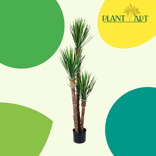 Yuccapalmen - En tropisk skönhet för alla hem
