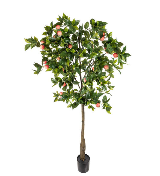 Apfelbaum 200 cm