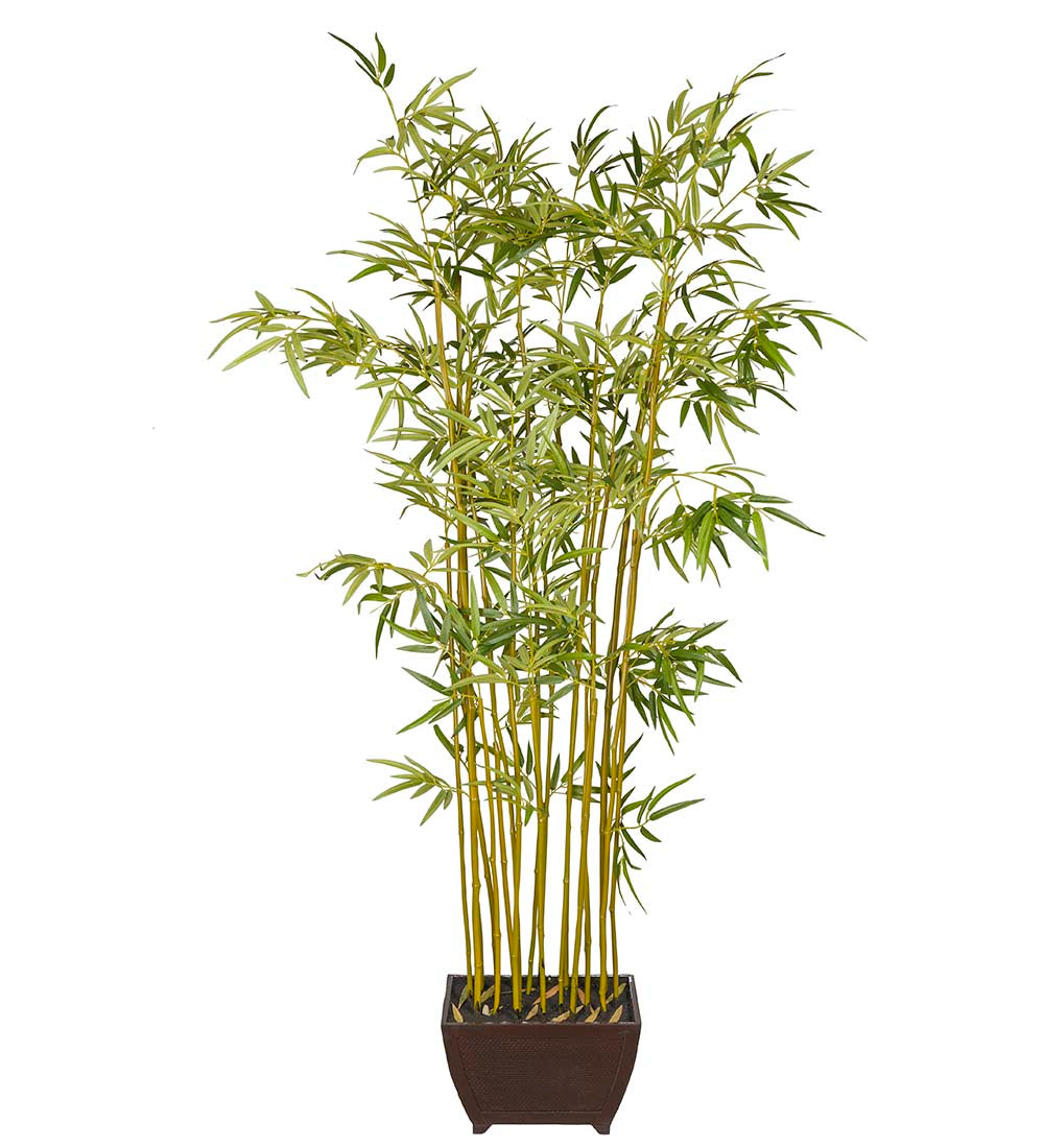 Bambu 190 cm kruka